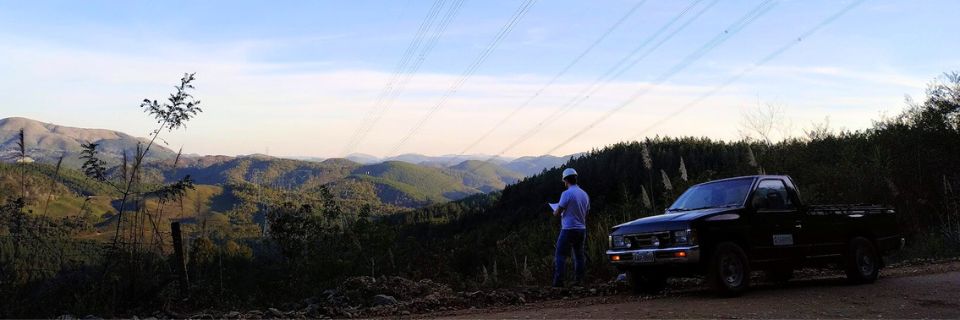 Serviços Florestais